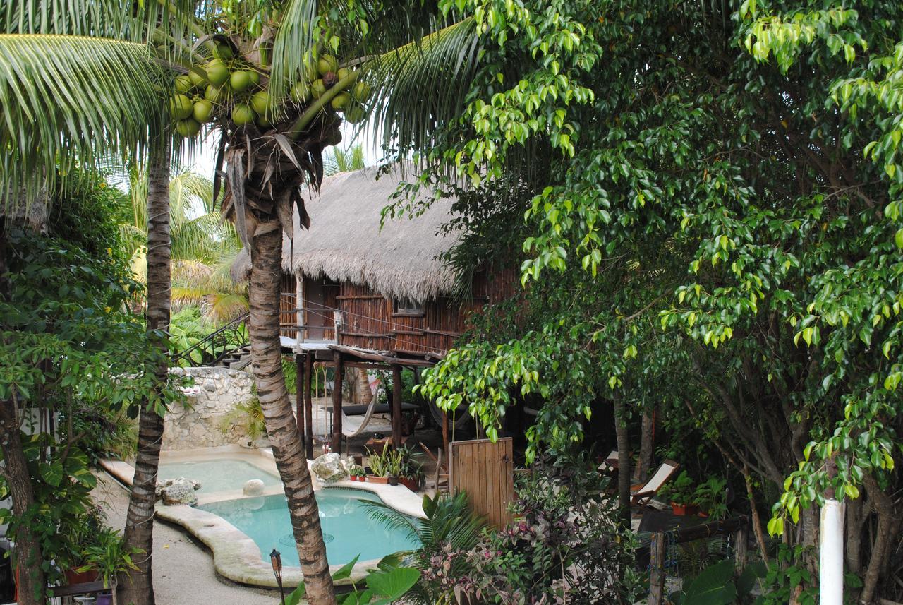 Lobo Inn Tulum Zewnętrze zdjęcie